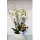 CAJA CON ORQUIDEAS