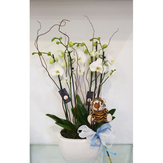 CAJA CON ORQUIDEAS