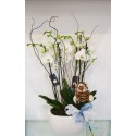 CAJA CON ORQUIDEAS