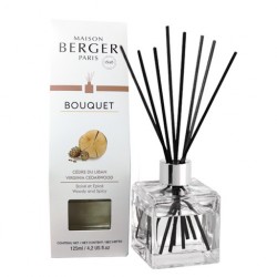 Todas los perfumes para lámpara catalítica Maison Berger en Aromaticks