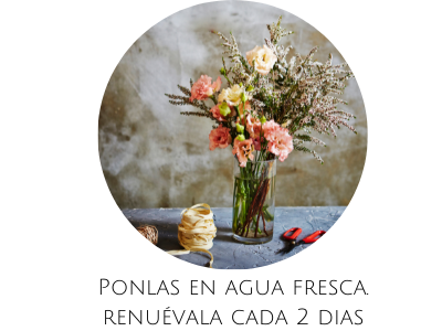 pon tu ramo de rosas en agua y cámbiala cada dos dias