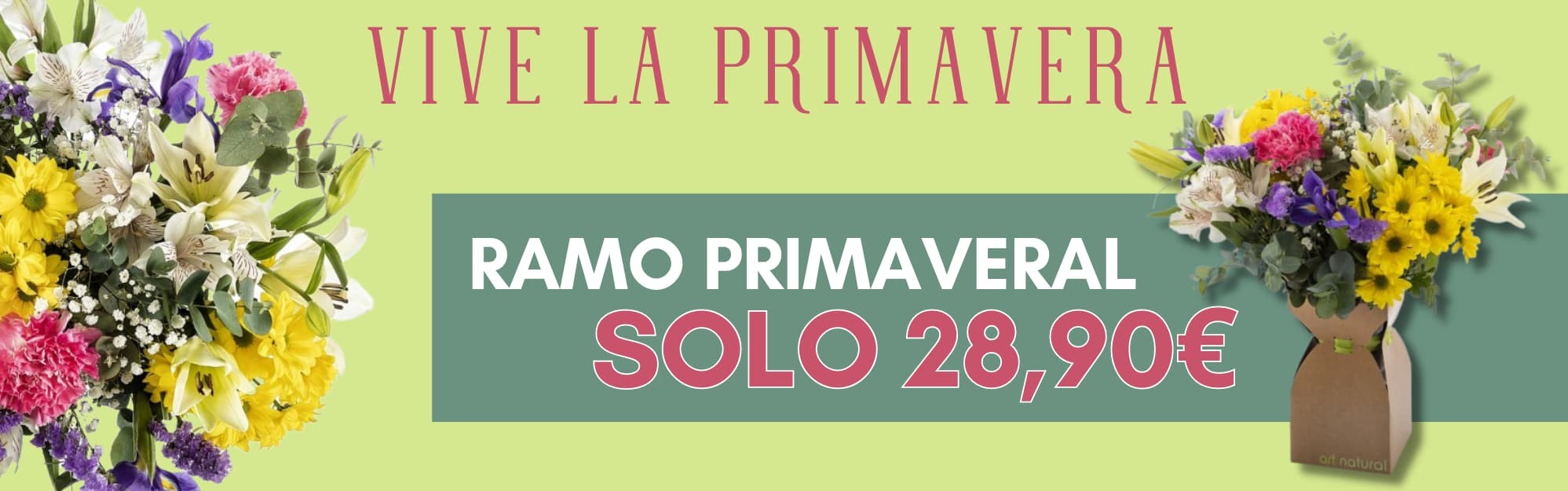 Oferta primavera