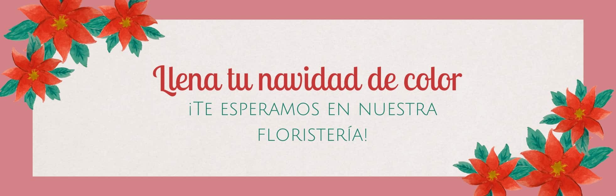 Navidad con Art Natural, tu florister&iacute;a en Valencia